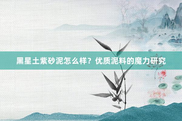 黑星土紫砂泥怎么样？优质泥料的魔力研究